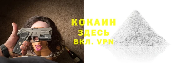 твердый Алзамай