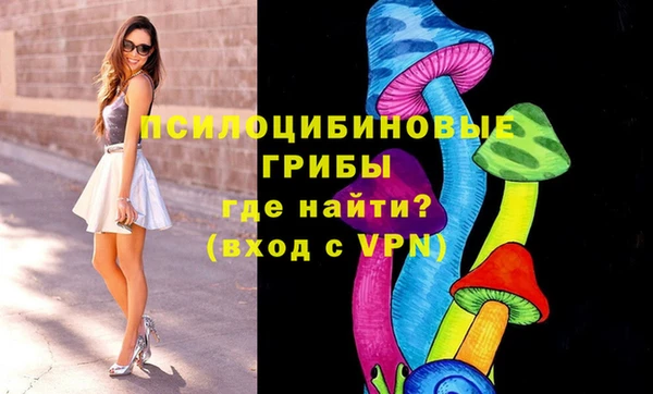 дживик Алексин