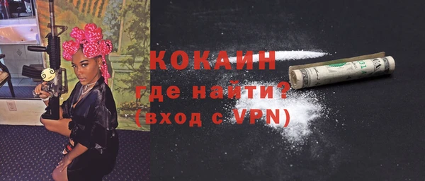 твердый Алзамай